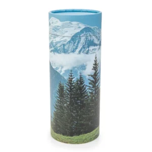 BW-Mountain-Scene-Scattering-cylinder